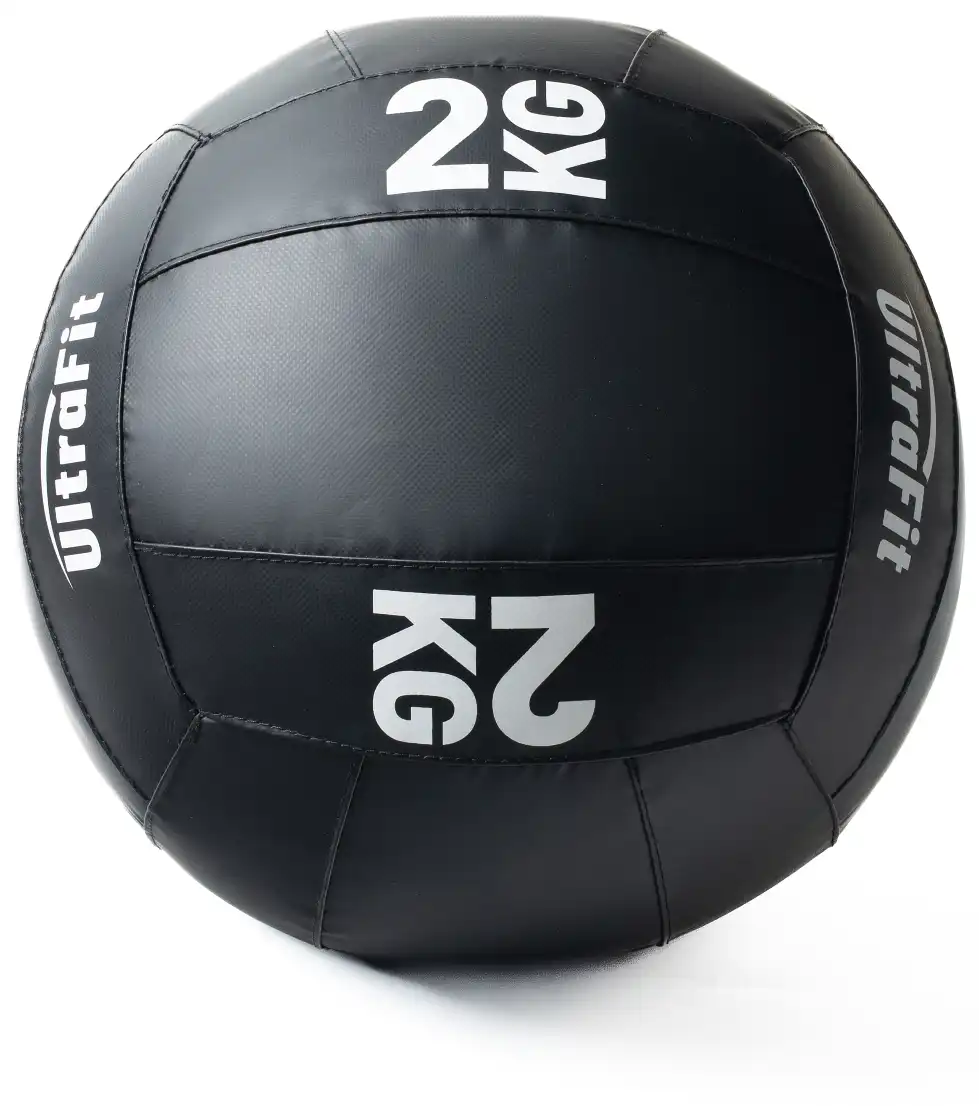 LDX-5007 Wall Ball - Wall Ball in Weight Training Series | ShuangJia Wholesale Fitness Equipment